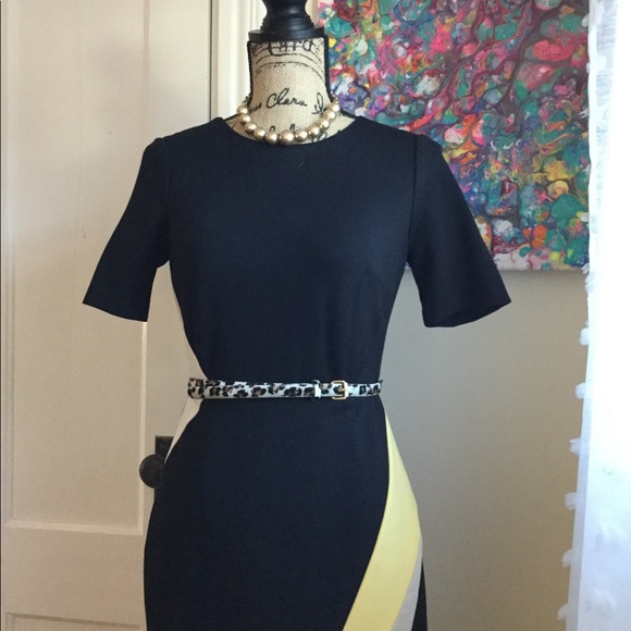 WHBM Shortsleeved Work Dress Sz 2P - Picture 5 of 8